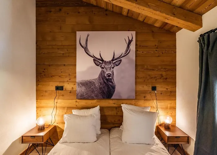 Sapelli Argentiere - By Emerald Apartament